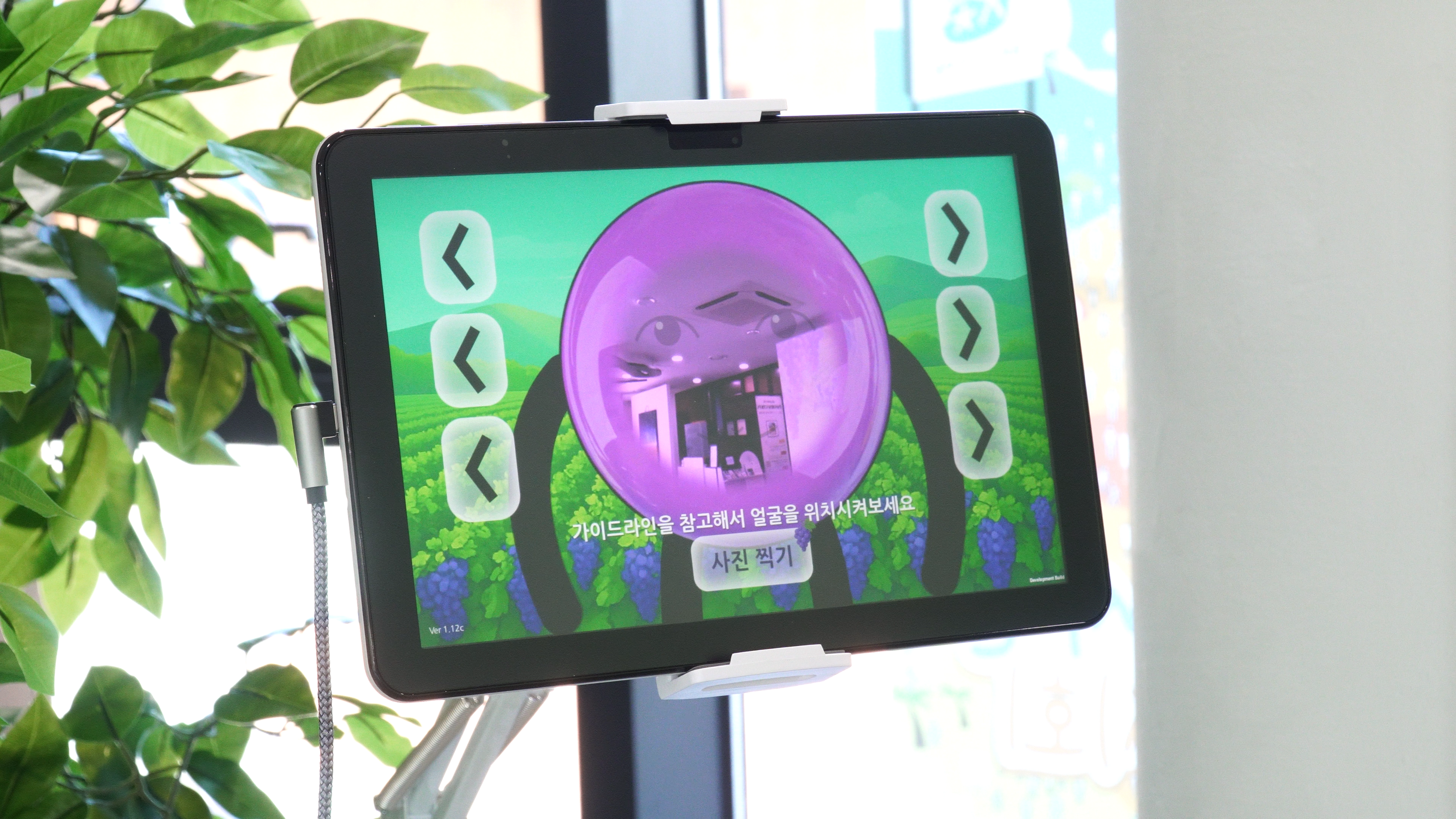 포도알 세상 이미지 2